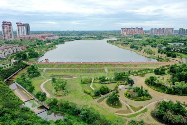 城市濕地公園。.jpg