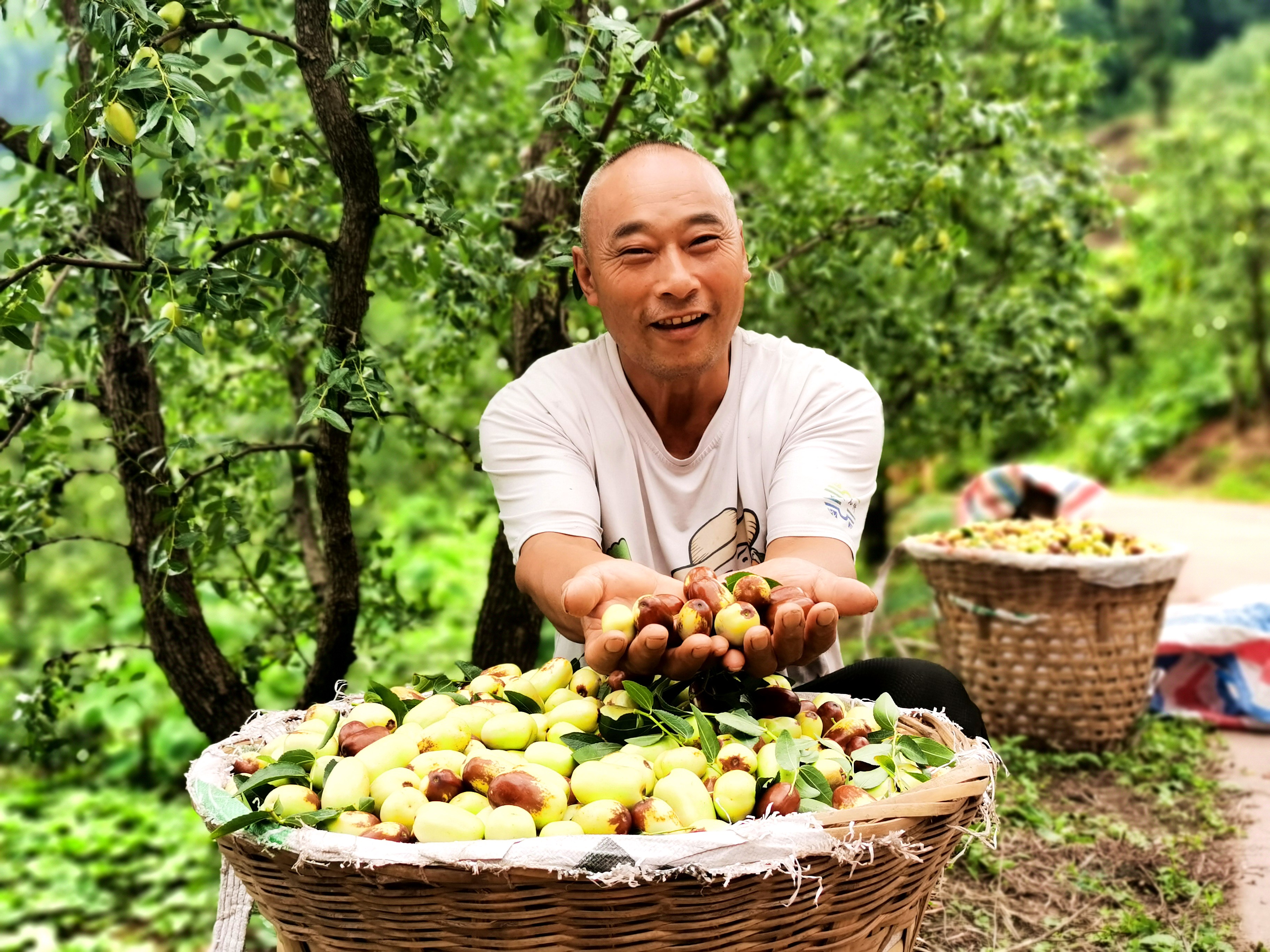 徐元權手捧鮮棗。.jpg