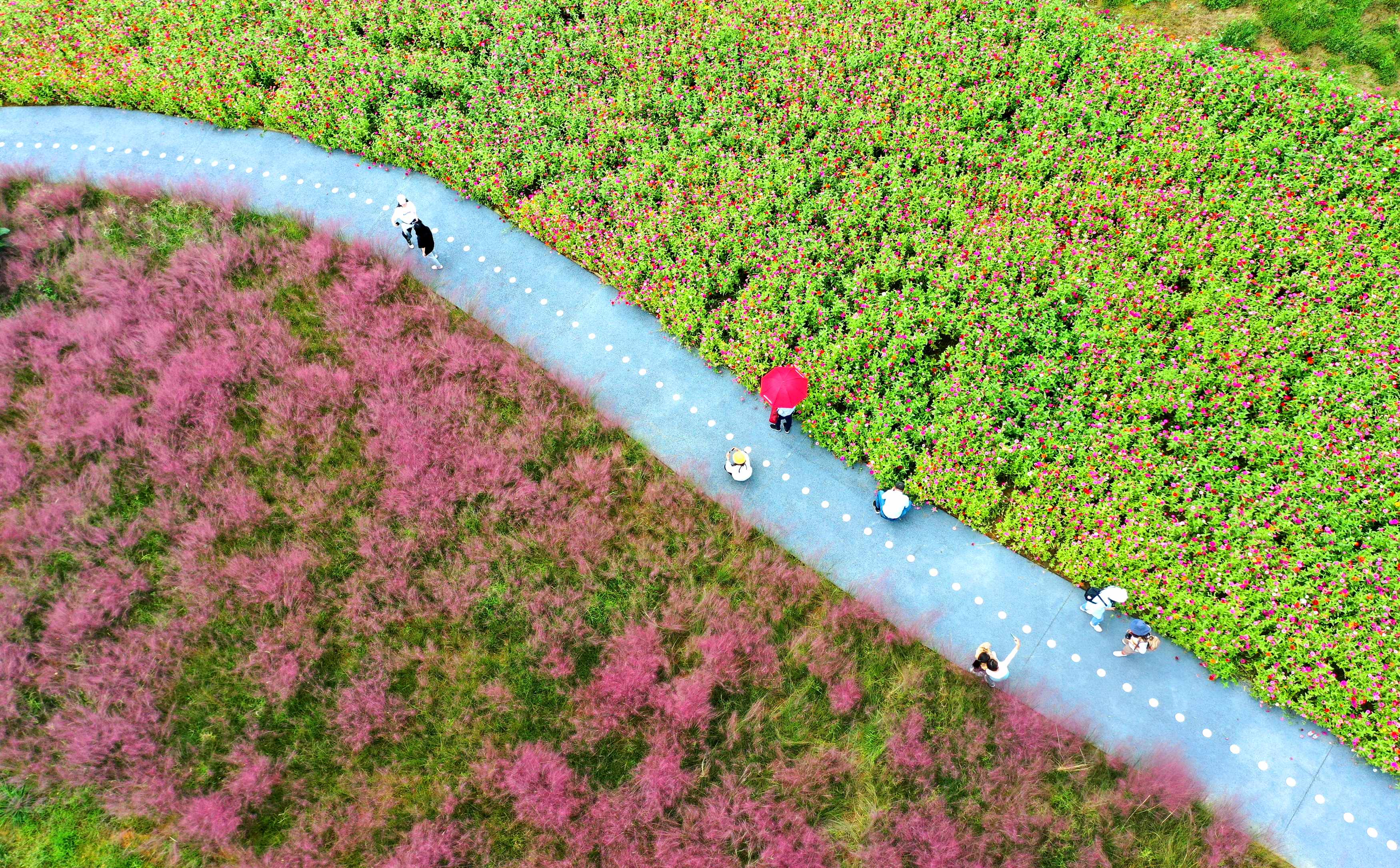 “網紅”景點吸引各地游客。.jpg