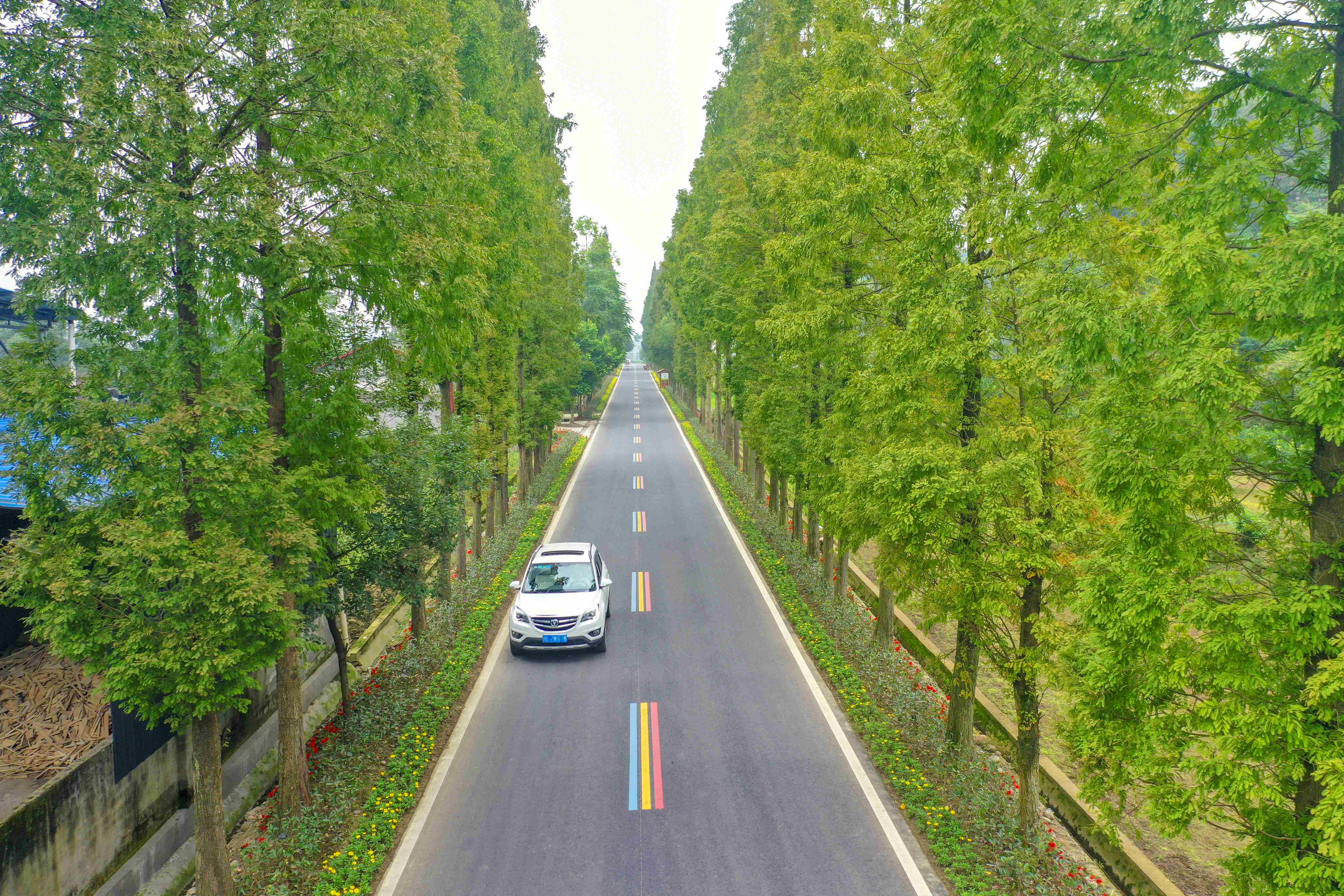 青關路連接東山多個交通節點。