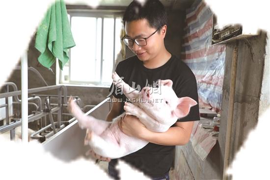 李想展示自己所養(yǎng)的健康豬仔。.jpg