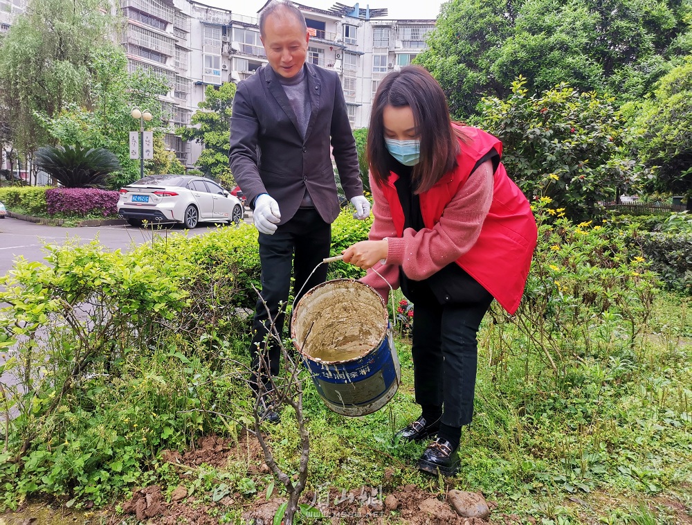 種下小樹，寄托思念.jpg