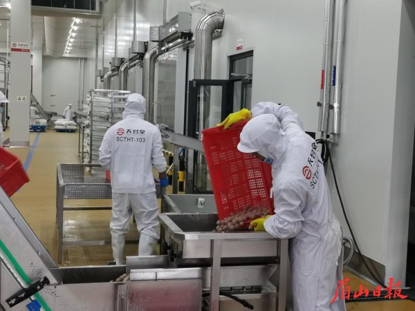  東坡區各企業開足馬力忙生產。
