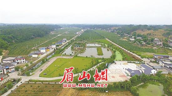 多點發力打造特色小鎮。.jpg