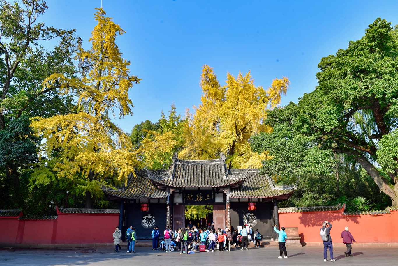 古祠又上“金裝”。 眉山日報(bào)全媒體記者 廖波 攝于三蘇祠.jpg