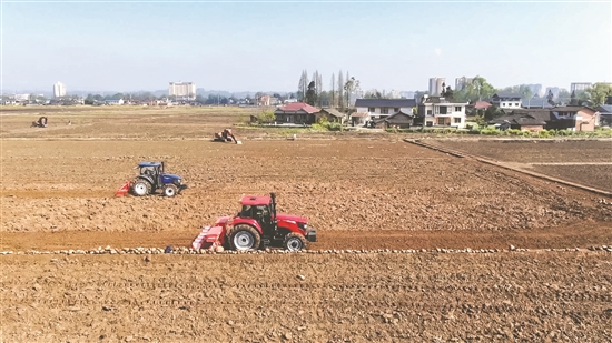 洪雅縣止戈鎮(zhèn)，種植大戶機(jī)械化整理土地。眉山日報全媒體記者 廖波 攝.jpg