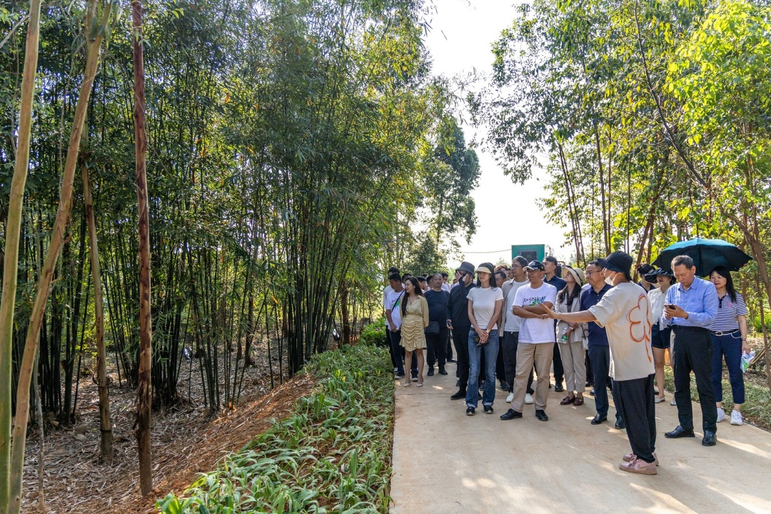4.森林游園會(huì).jpg