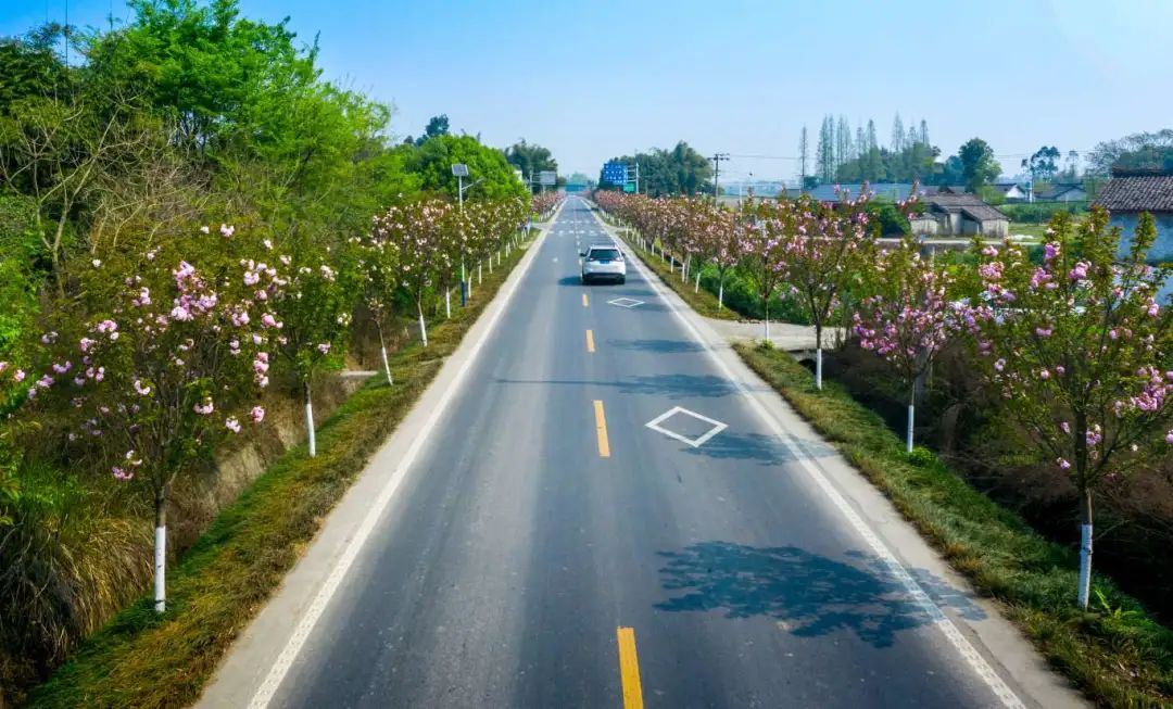 四好農(nóng)村路。.jpg