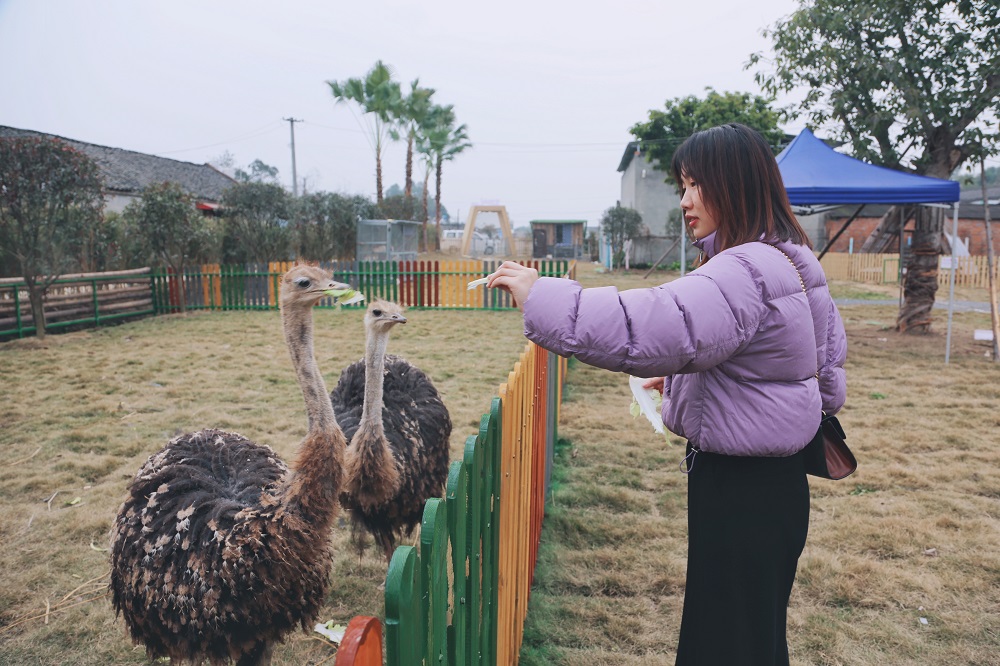 游客在“萌寵樂園”給小動物喂食。.jpg