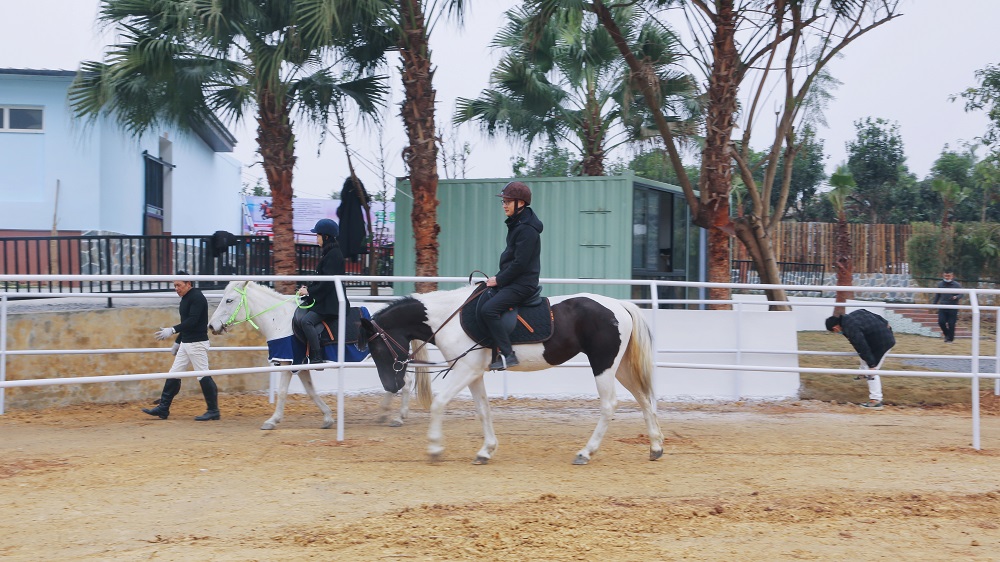 游客體驗騎馬項目。.jpg