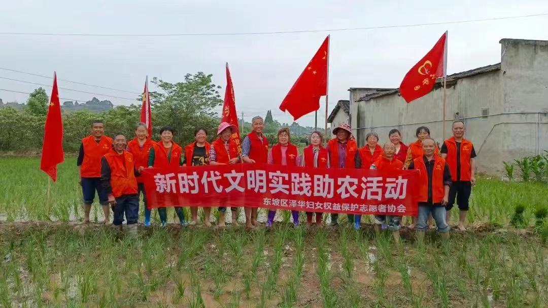 志愿者參與助農(nóng)活動(dòng)，分享勞動(dòng)喜悅。 (1).jpg