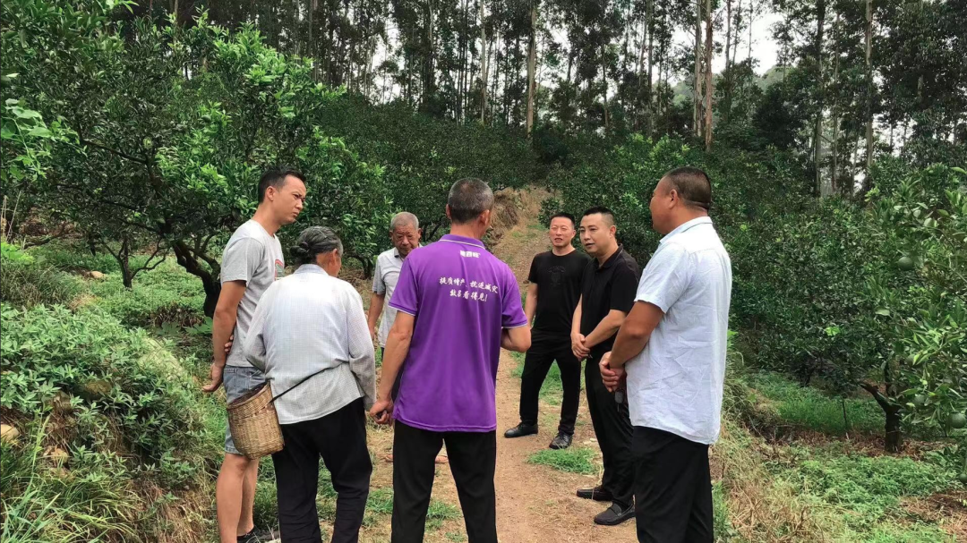 現場化解群眾山林土地糾紛。.png
