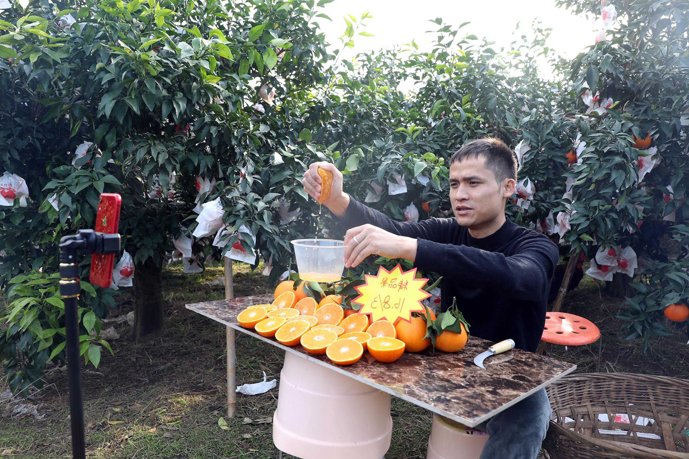  紅石村將電商作為柑橘銷售重點發展方向。