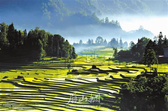 《叢林梯田》朱浩 攝于高廟鎮叢林村.jpg