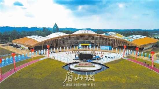 開放發展以竹為媒聯通世界。徐鵬 攝.jpg