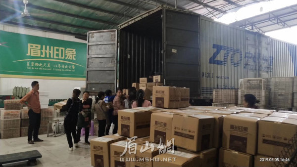 眉山柑橘通過物流發往全國各地。（資料圖片）