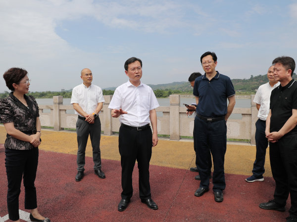 胡元坤在岷江彭山區陳家灣段調研督導河長制工作。記者 雷同 攝.JPG
