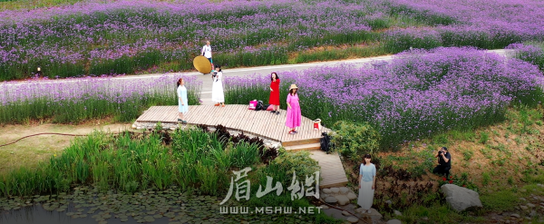 已建成的“中法農(nóng)業(yè)科技園”展示區(qū)。