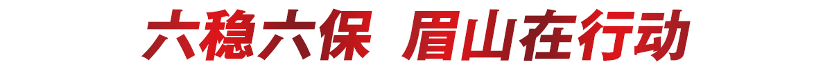 六保六穩·眉山在行動.jpg