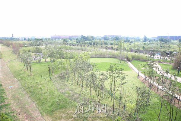 竹韻廊公園總進度已完成80%。.JPG