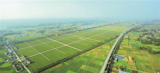 東坡區太和鎮高標準農田全貌。.jpg