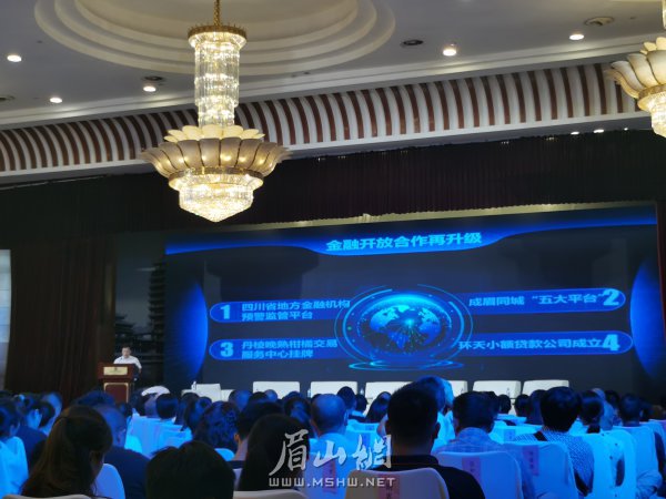 我市召開金政企對接座談交流會。 本報記者 楊熹 攝