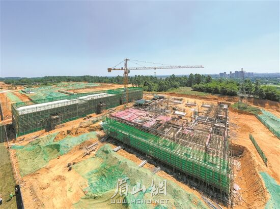 斑布竹產業園百萬噸竹材生物質精煉項目建設現場。