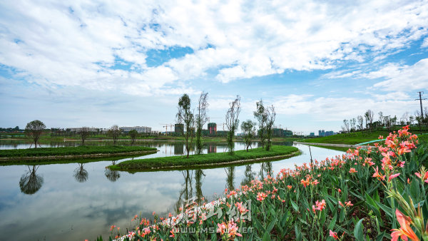 公園內鮮花爭艷。