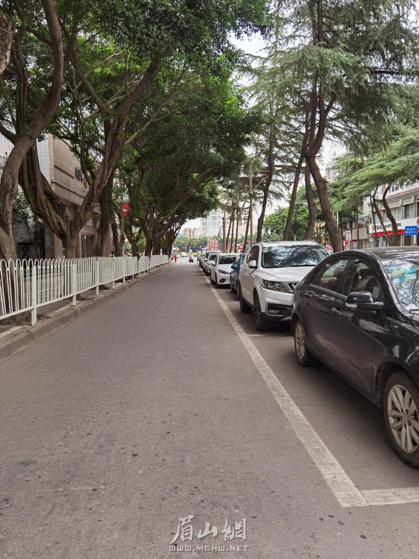 街道整潔干凈，車輛停放規范。