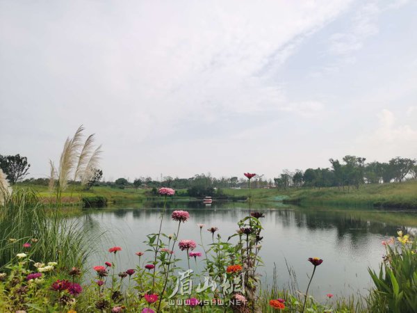 生態(tài)濕地，綠色屏障。