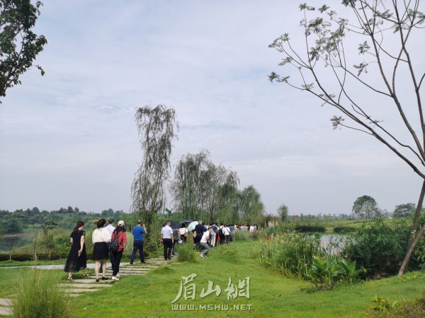 黑龍灘生態(tài)濕地。
