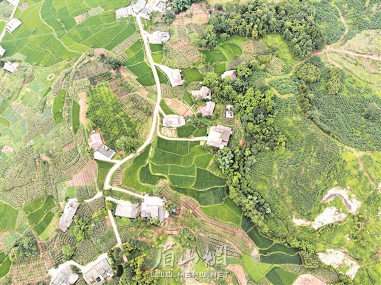 我市綠色農(nóng)業(yè)蓬勃發(fā)展。（資料圖片）
