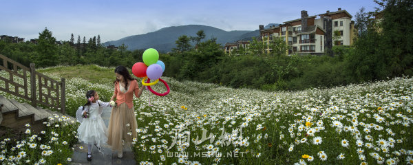 康養(yǎng)圣地七里坪。