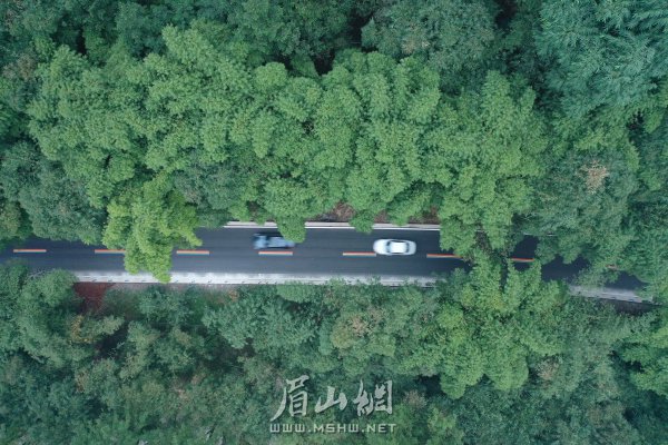 岷江東岸群眾期待的青關路改造工程竣工，對促進沿途鄉鎮經濟發展具有重要的意義。