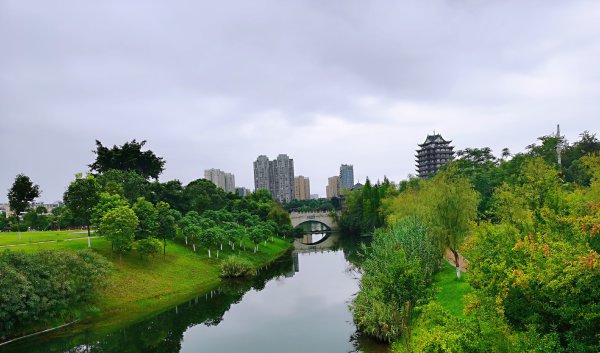 東坡城市濕地公園一角。