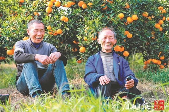果子即將豐收，丹棱果農喜笑顏開。（丹棱縣農業農村局供圖）