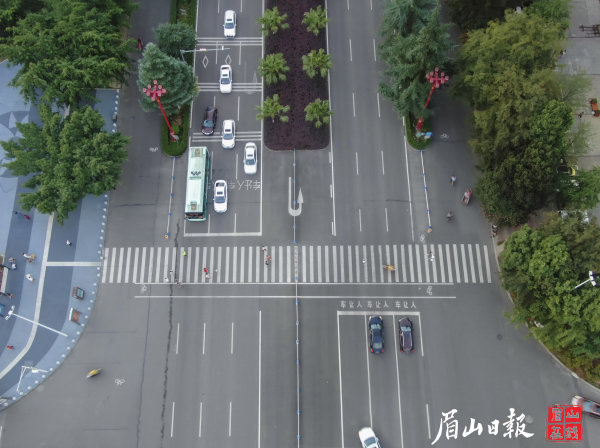 車輛自覺禮讓行人。眉山在線記者 雷同 攝