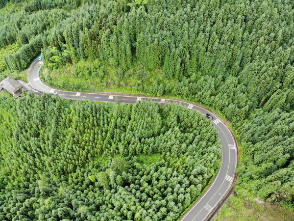 洪雅公路處處綠色盎然。