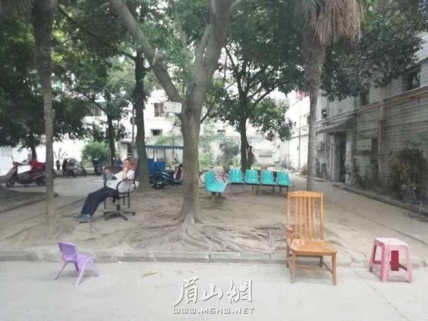 東坡區銀杏花園改造前。