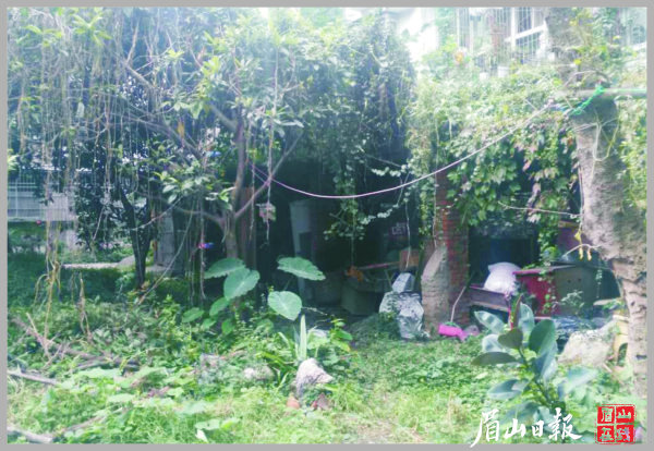 80號小區(qū)改造前。