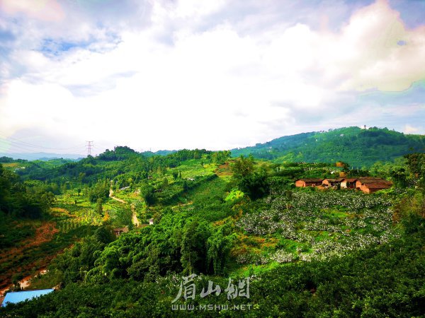 風(fēng)景如畫的官廳村。