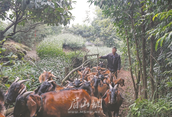 發展產業助增收。