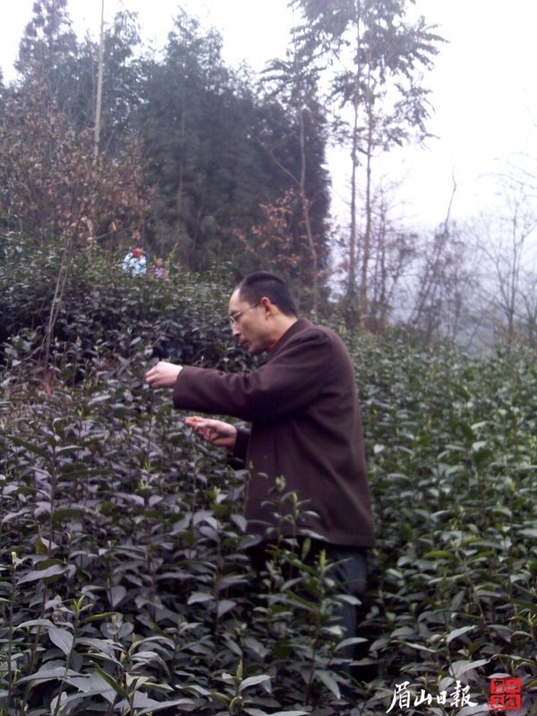 從事茶行業的何玉琪關注新能源問題。