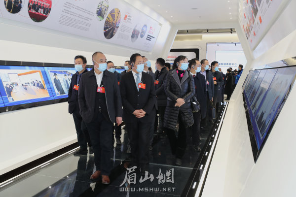 市人大代表在通威太陽能電池項(xiàng)目視察。記者 雷同 攝