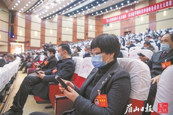 電子投票表決。