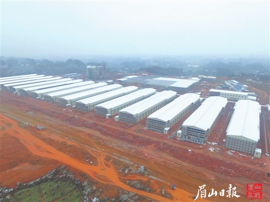 正大300萬只蛋雞種養循環產業園項目建設現場。