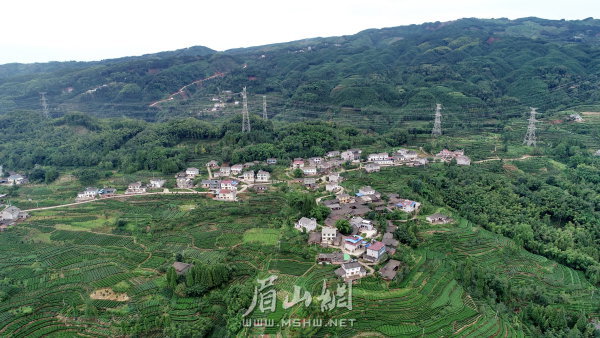 脫貧摘帽后的洪雅縣三寶鎮保坪村。姚永亮 攝