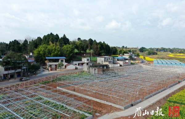  園區內正在建設大棚。