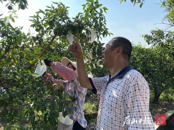 李培明認(rèn)為，誠實(shí)守信是做人的基本準(zhǔn)則。