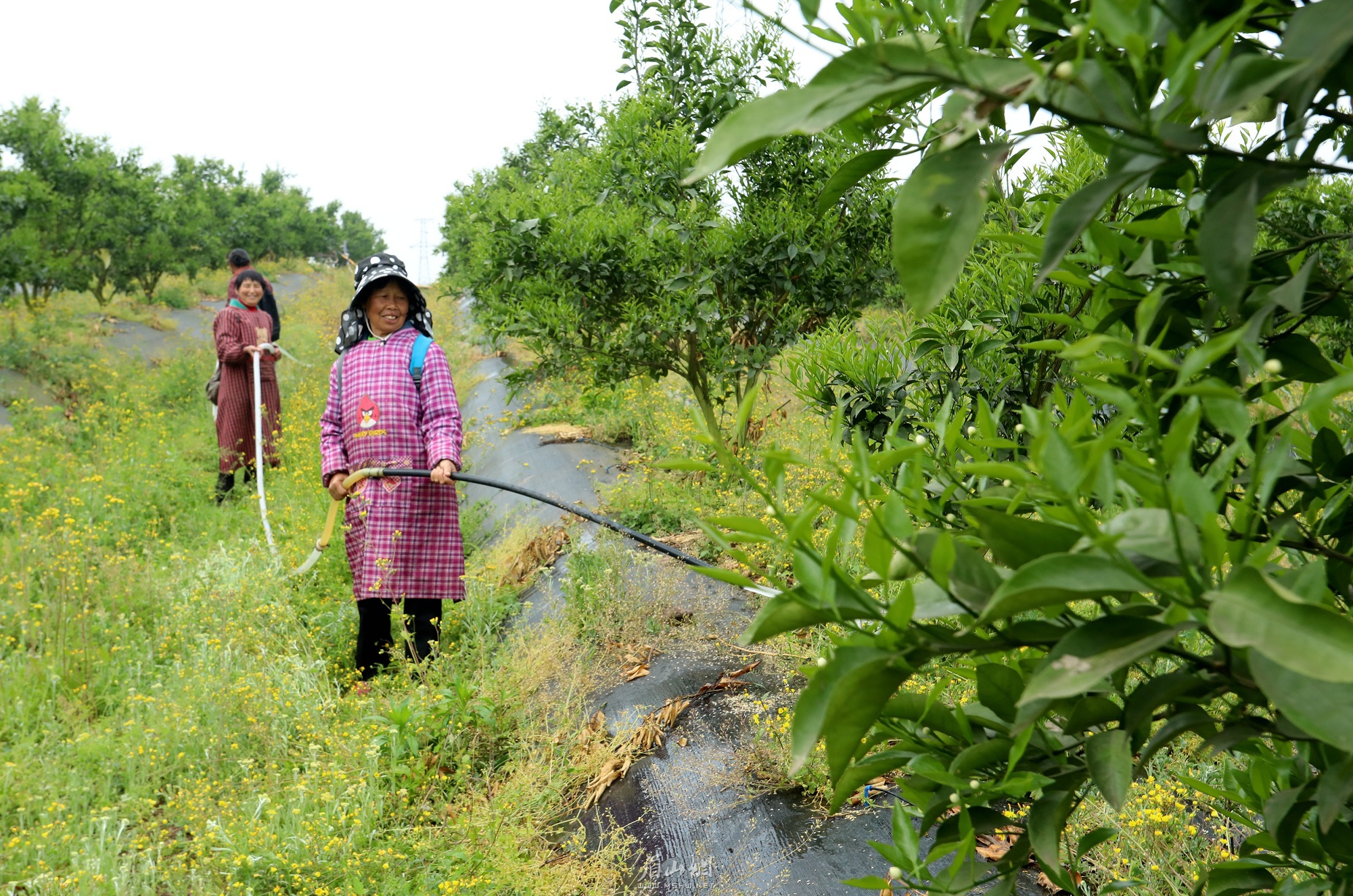 村民正在基地內務工。.jpg